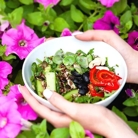 Julia Rakowicka - Old Town * 크라쿠프